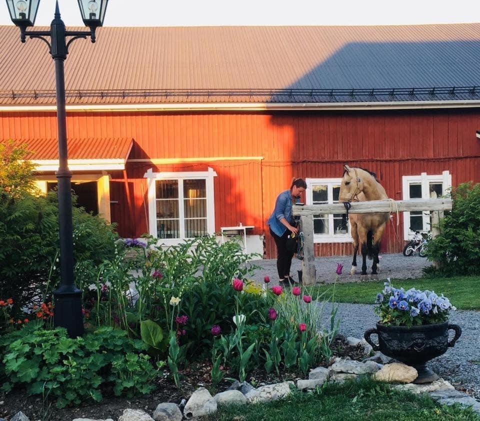 Scenic Small Guesthouse On Horse Farm By The Lake Froso Екстер'єр фото