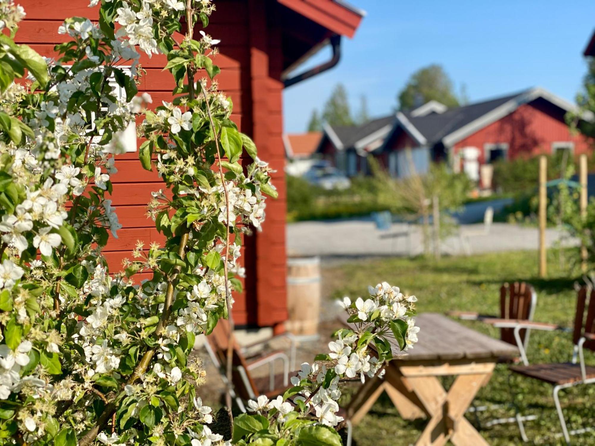 Scenic Small Guesthouse On Horse Farm By The Lake Froso Екстер'єр фото